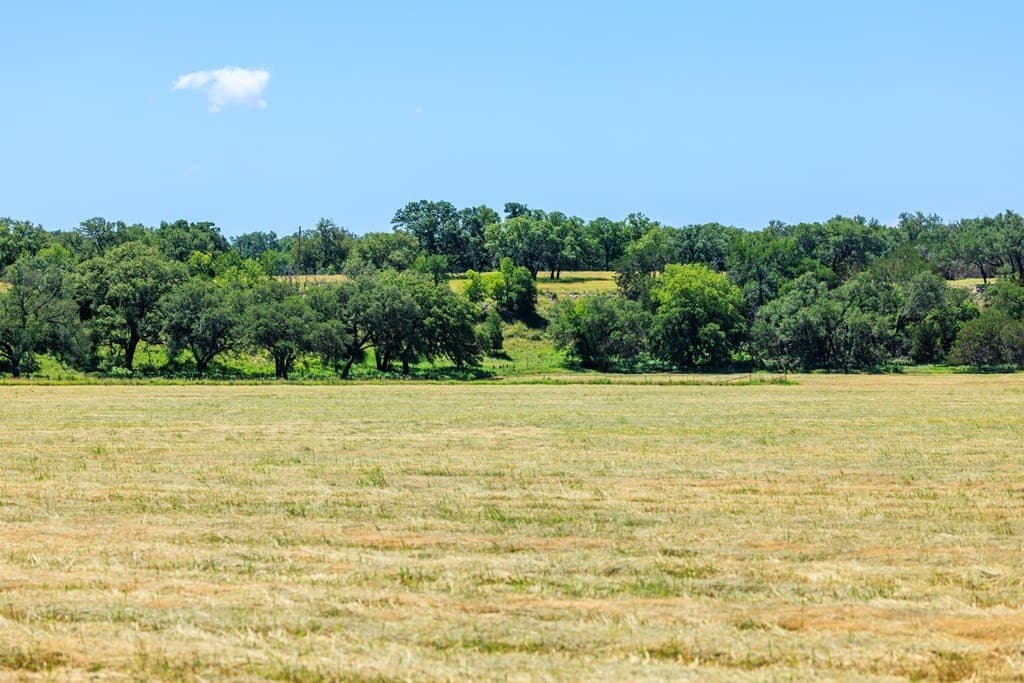 113.96 acres in Blanco County - photo 59