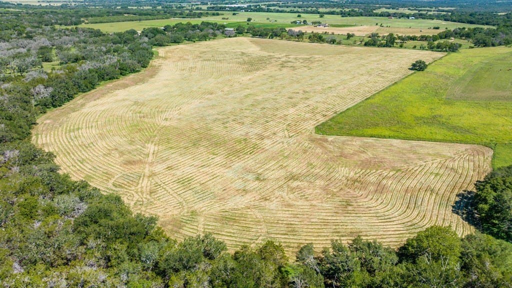 113.96 acres in Blanco County - photo 6