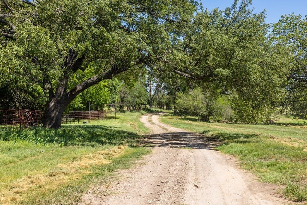113.96 acres in Blanco County - photo 18