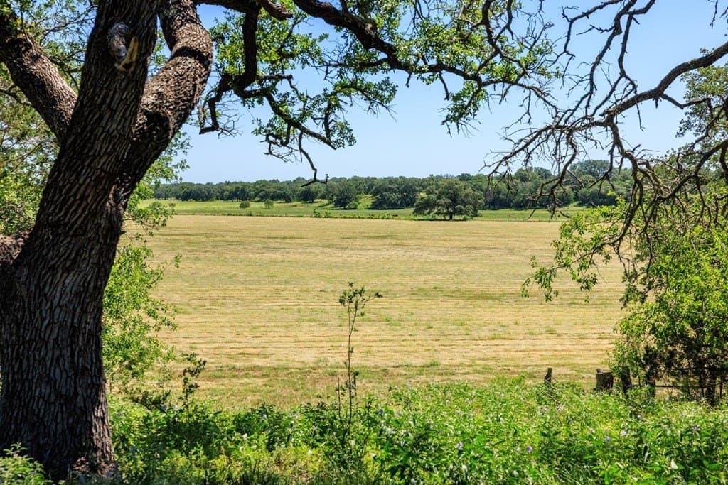 113.96 acres in Blanco County - photo 48