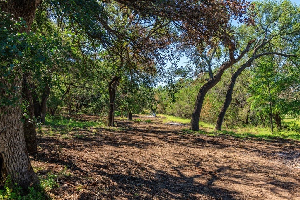 113.96 acres in Blanco County - photo 26