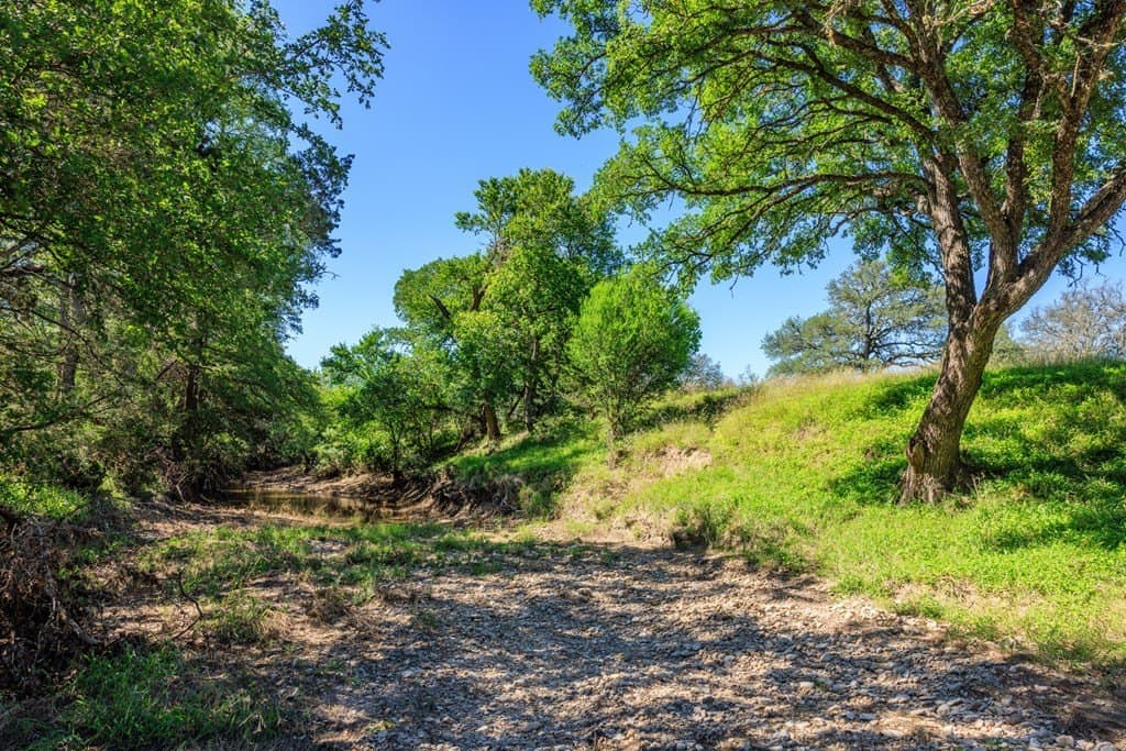 113.96 acres in Blanco County - photo 27