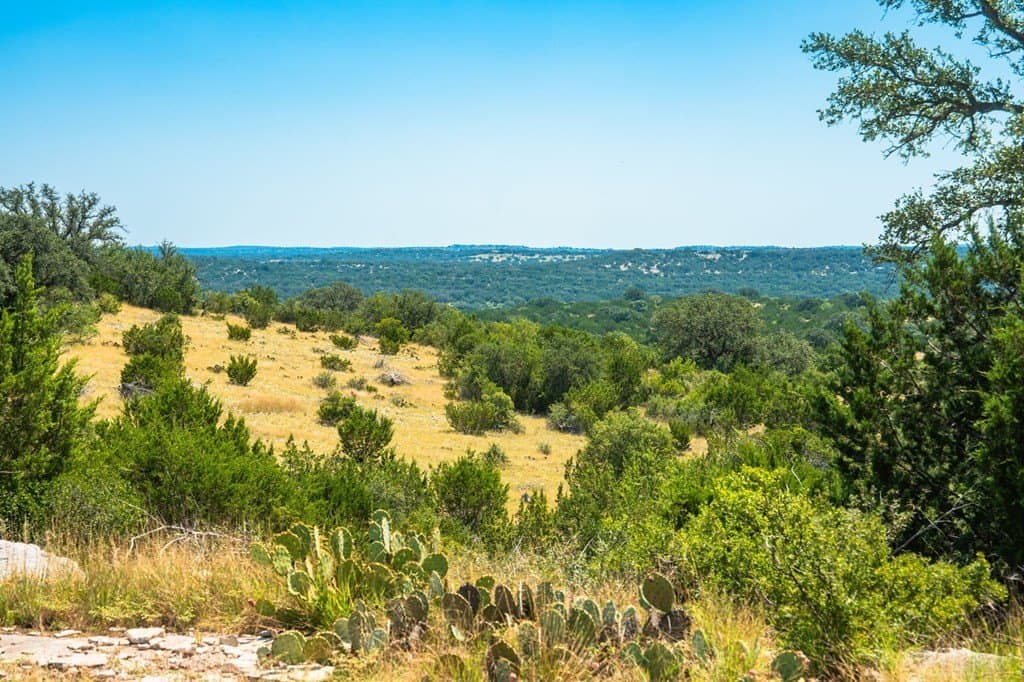136.4 acres in Sutton County - photo 9