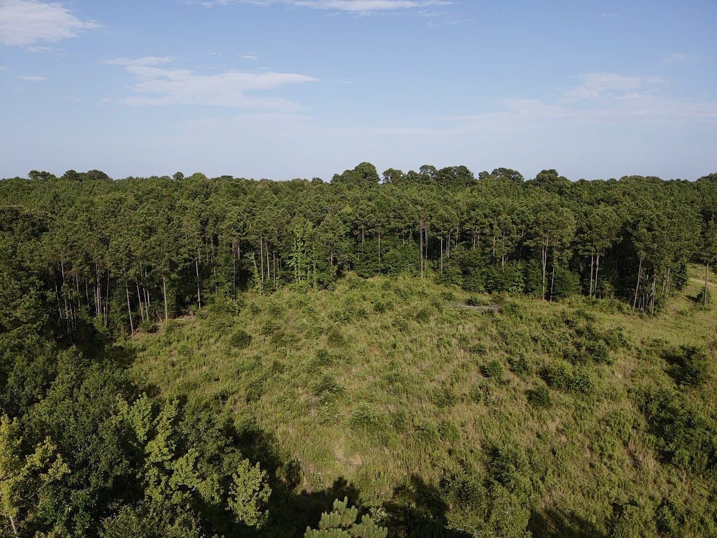 43 acres in Red River (TX) County - photo 7