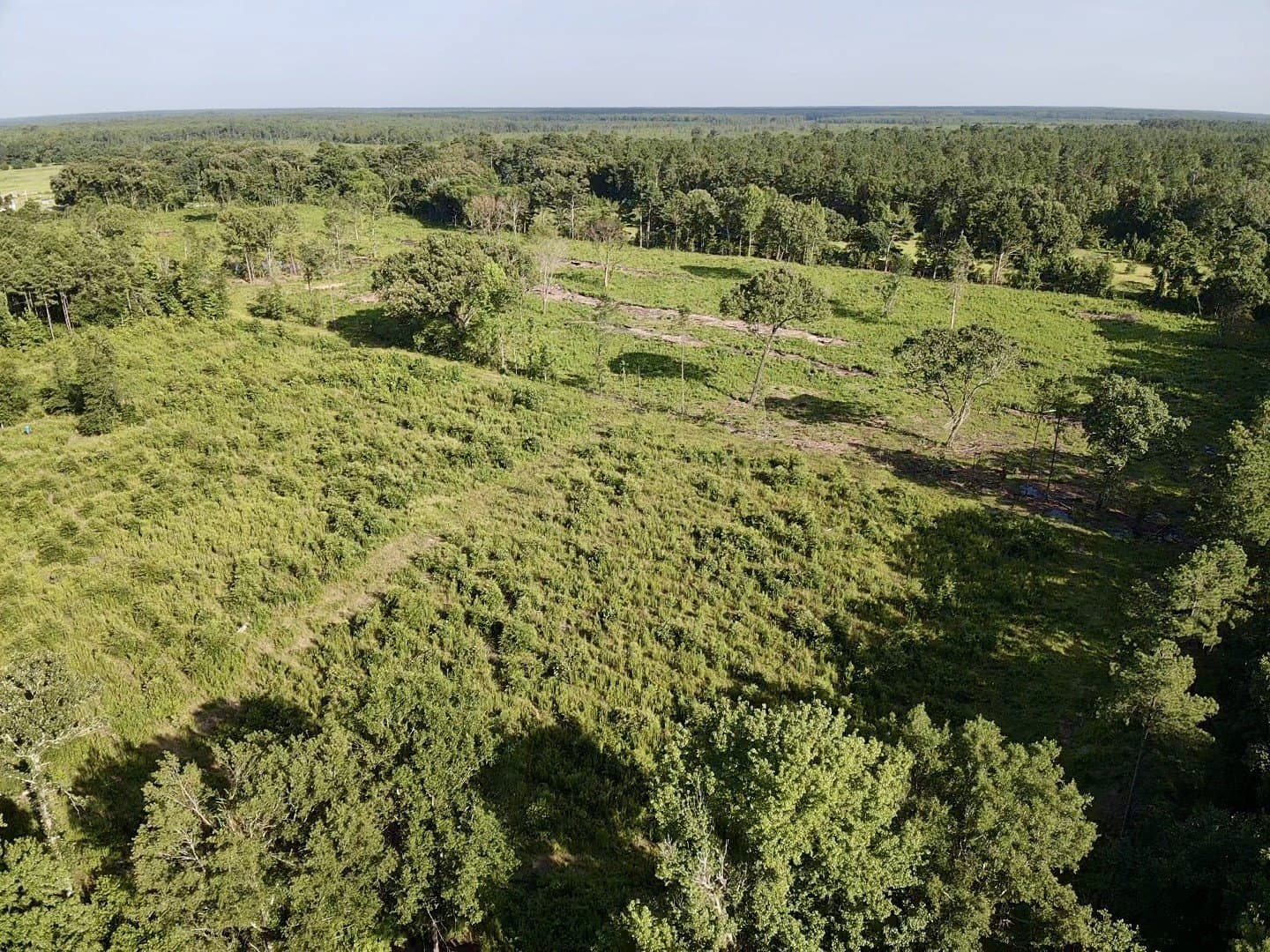 43 acres in Red River (TX) County - photo 4
