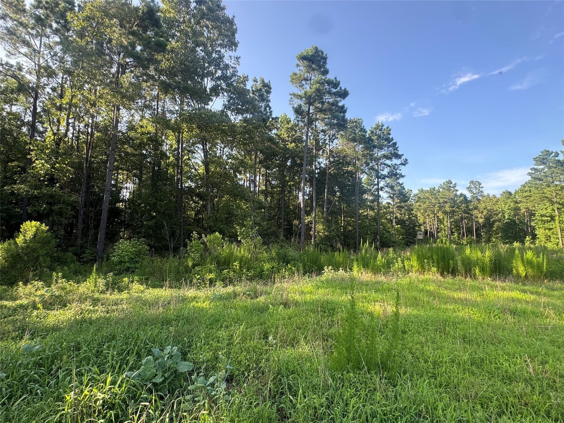43 acres in Red River (TX) County - photo 12
