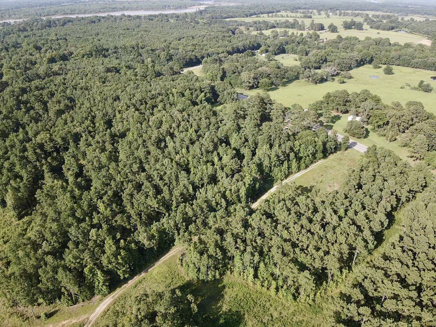 43 acres in Red River (TX) County - photo 8
