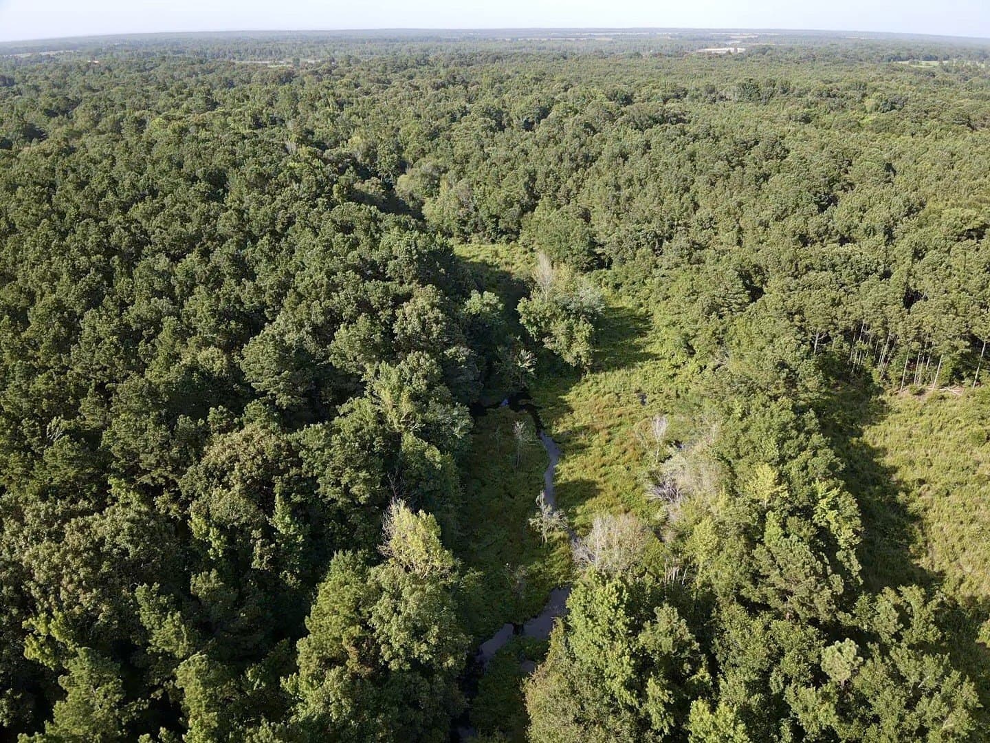 43 acres in Red River (TX) County - photo 6