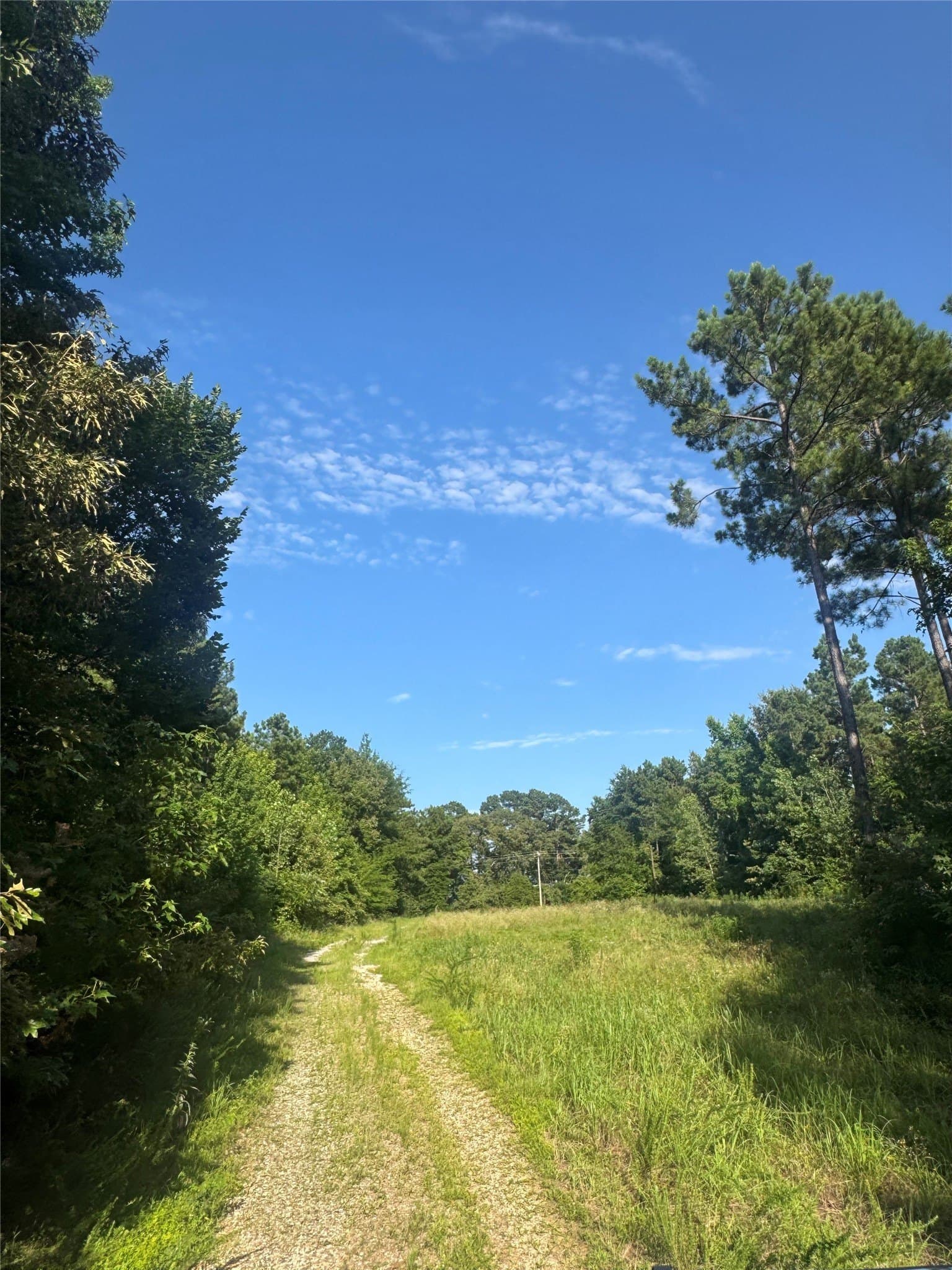 43 acres in Red River (TX) County - photo 2