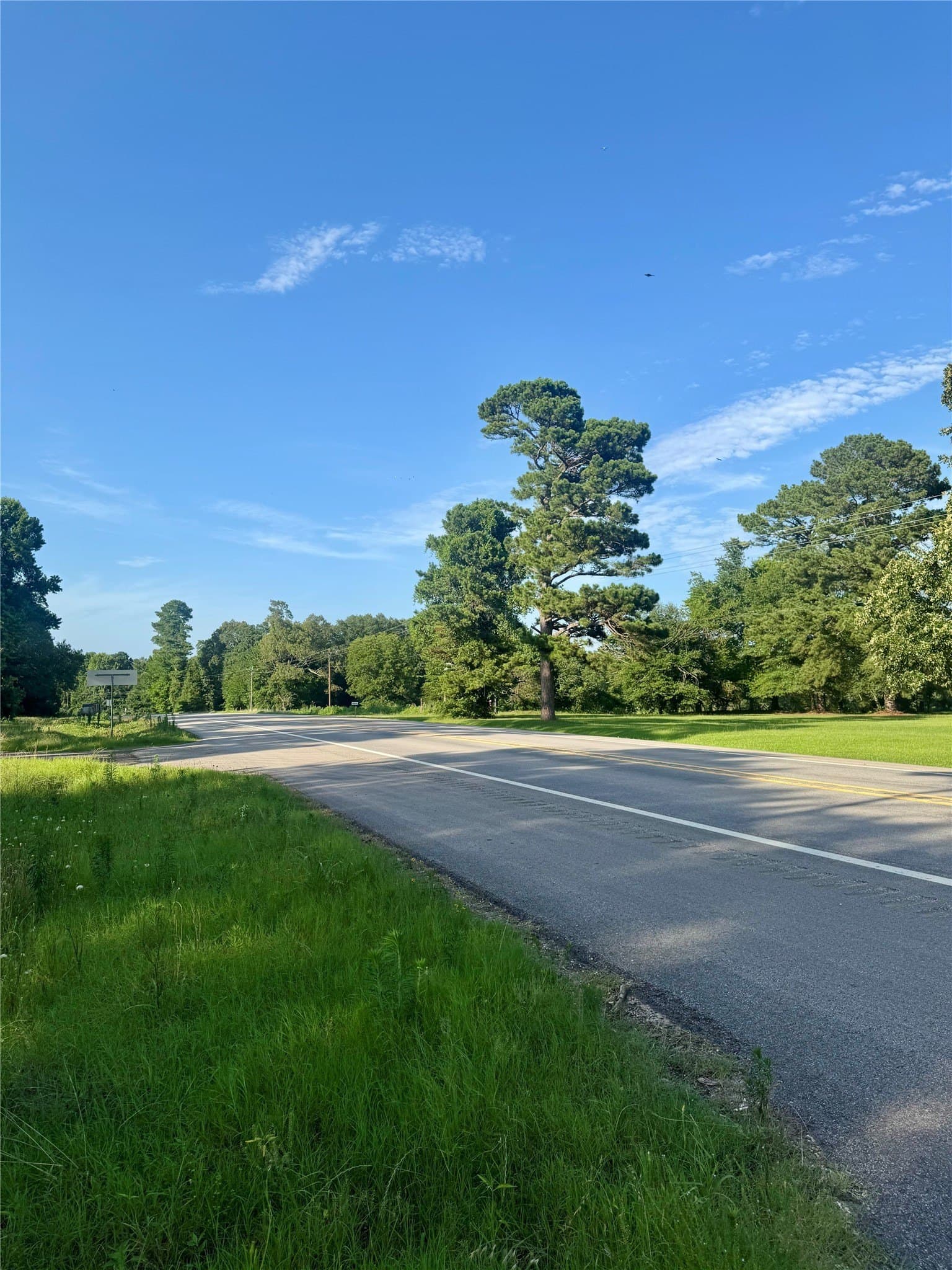 43 acres in Red River (TX) County - photo 3