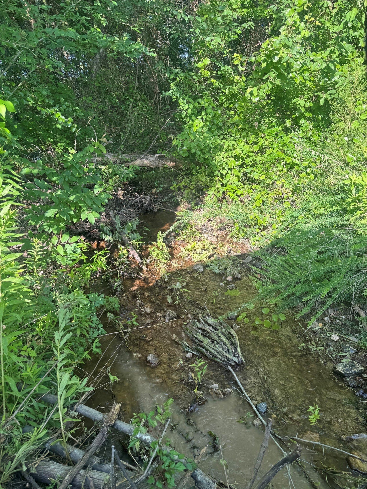 43 acres in Red River (TX) County - photo 10