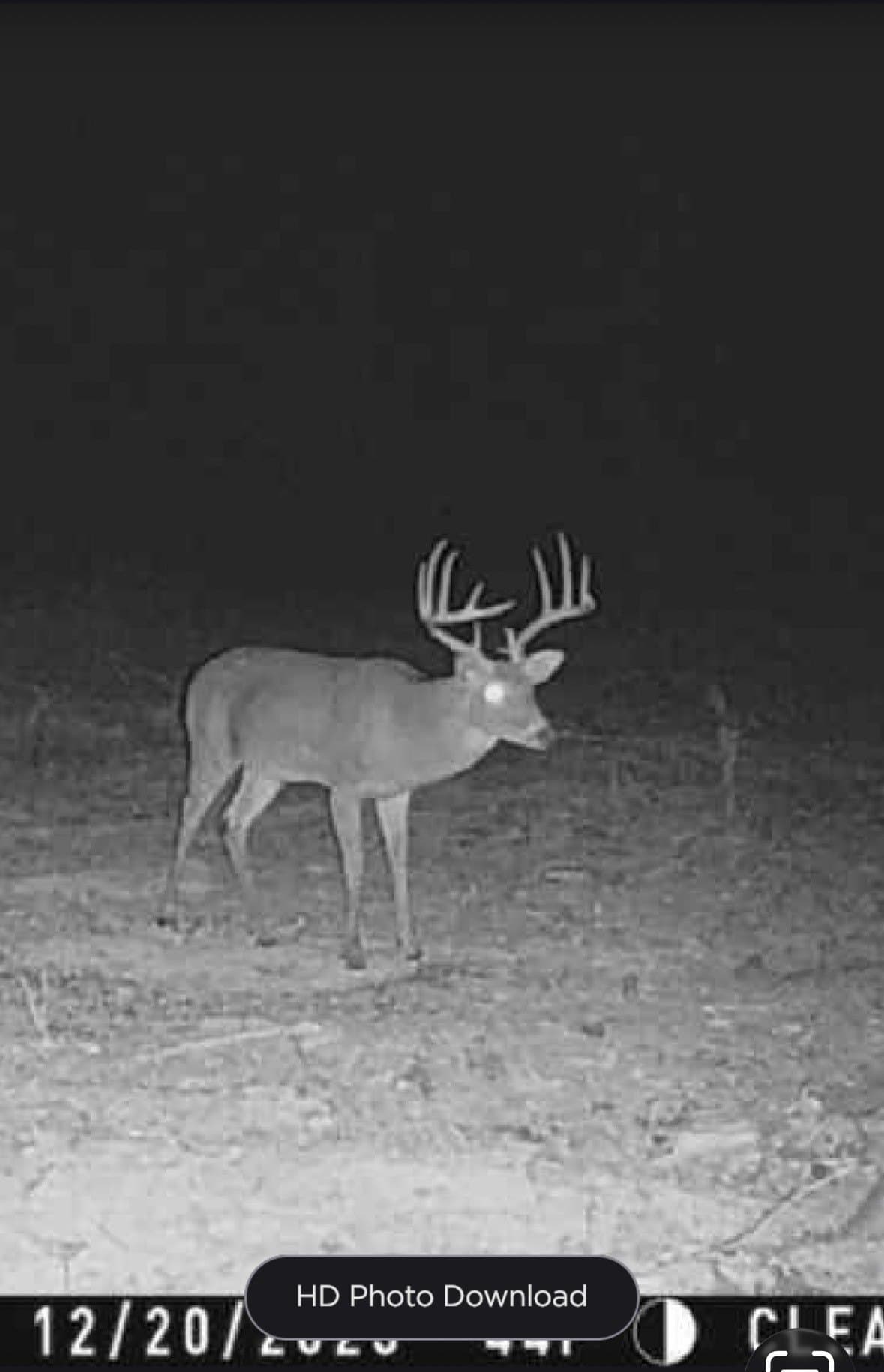 43 acres in Red River (TX) County - photo 23