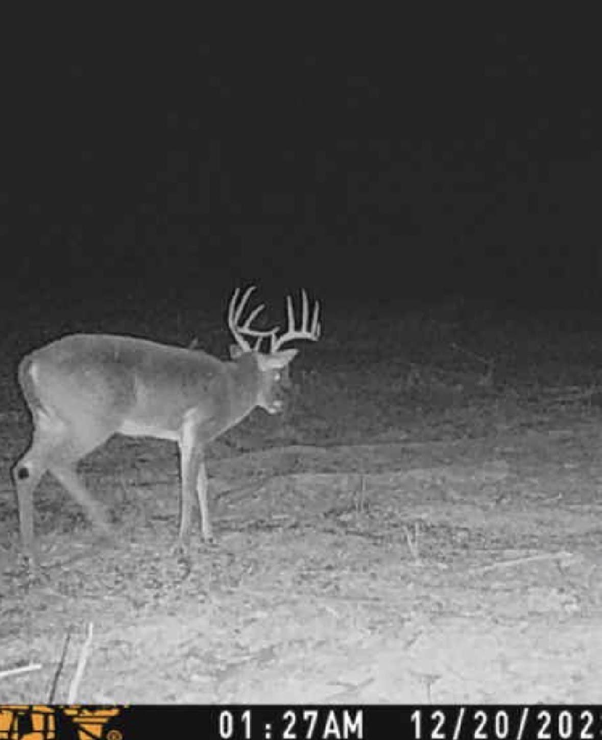 43 acres in Red River (TX) County - photo 17