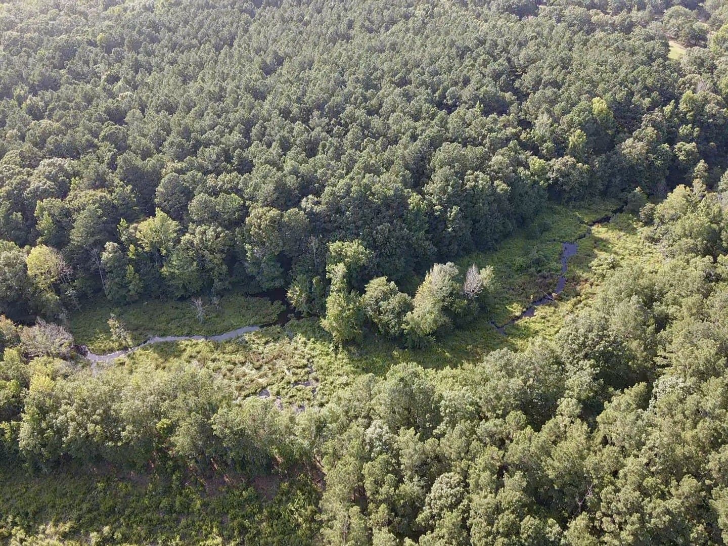 43 acres in Red River (TX) County - photo 5