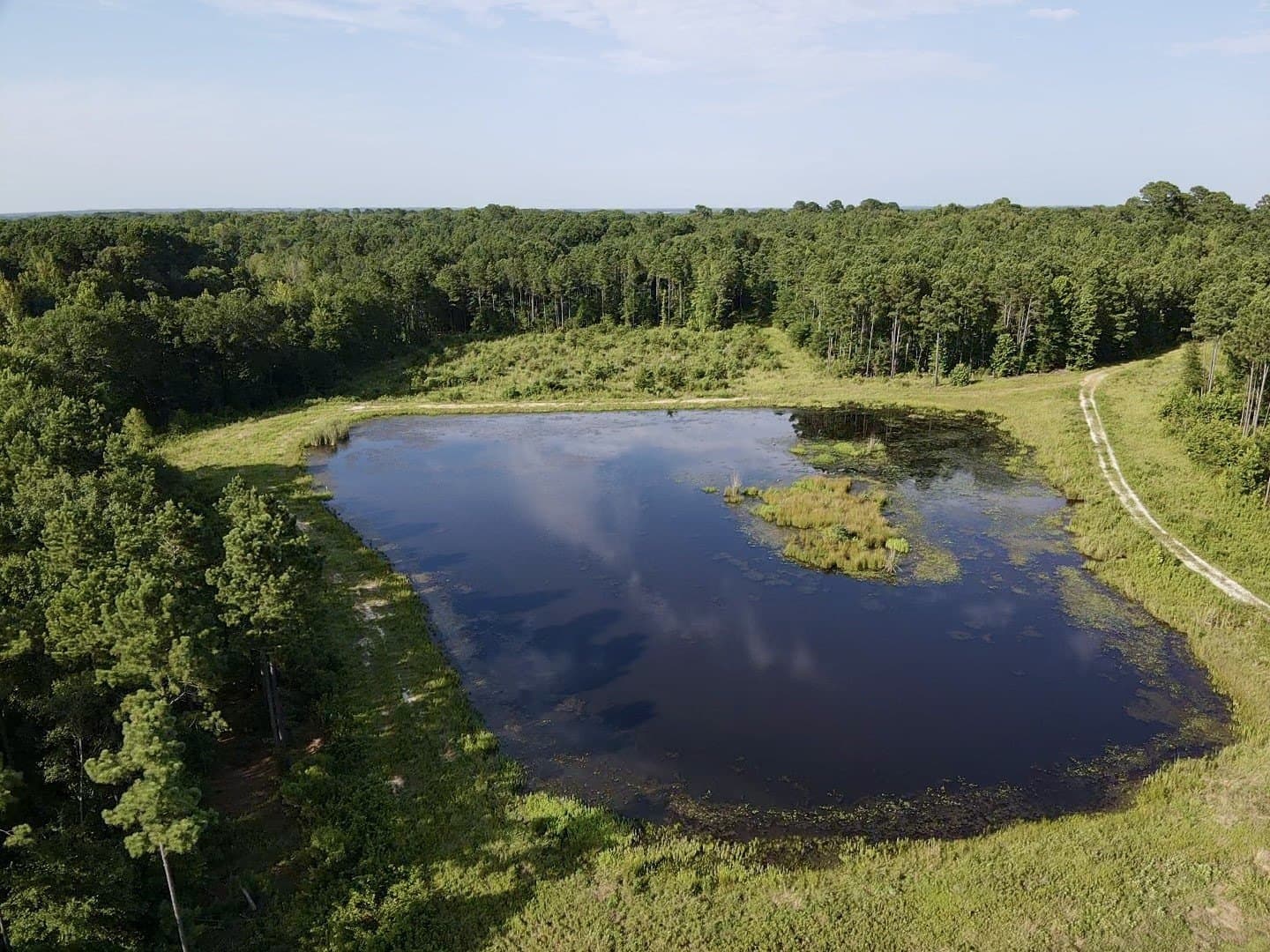 43 acres in Red River (TX) County