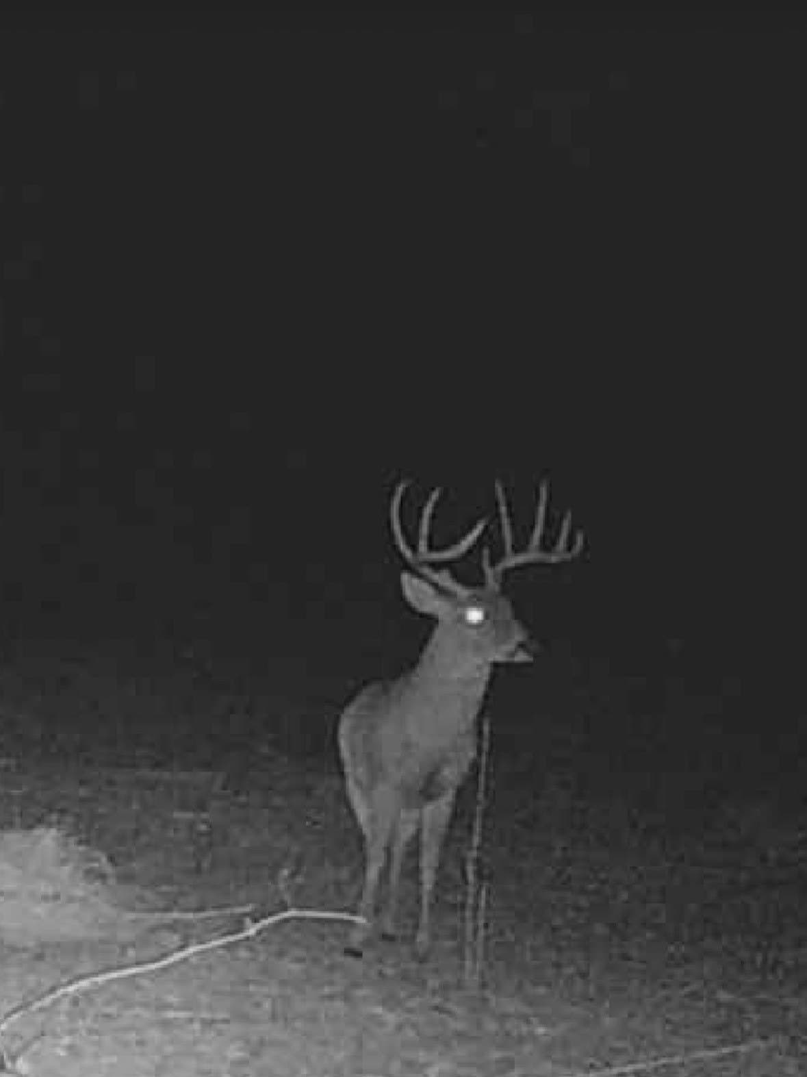 43 acres in Red River (TX) County - photo 25