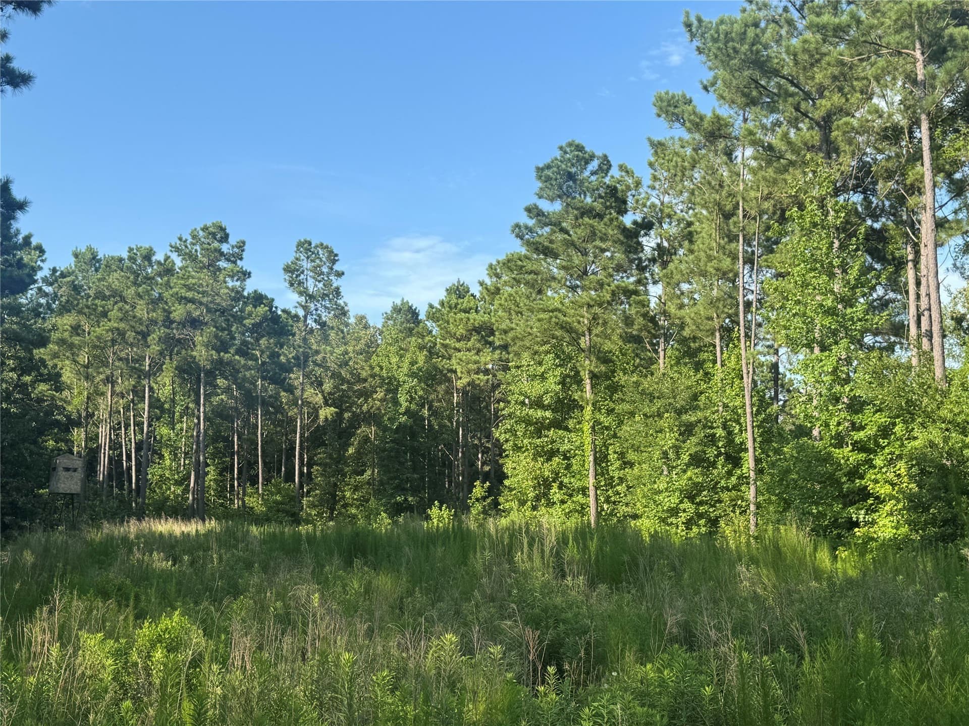 43 acres in Red River (TX) County - photo 9
