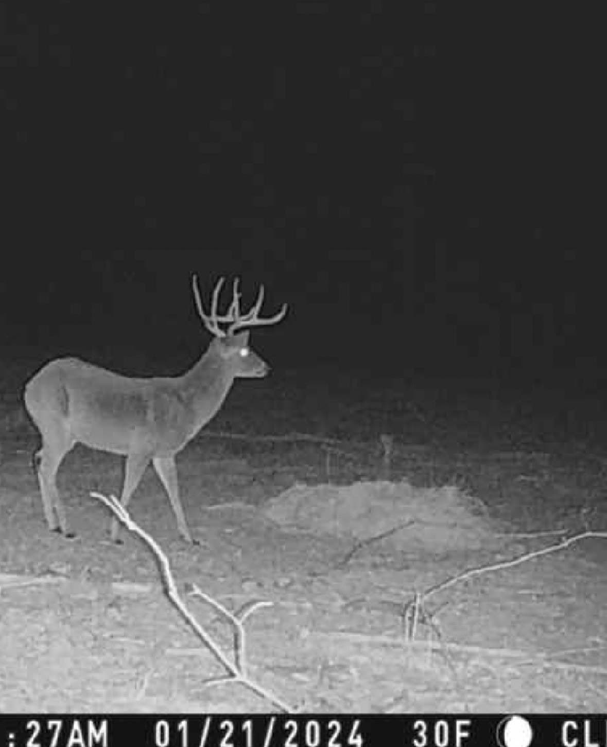 43 acres in Red River (TX) County - photo 26