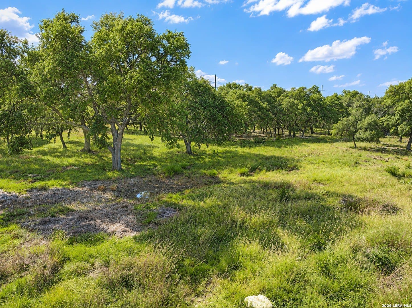 8.59 acres in Comal County - photo 7
