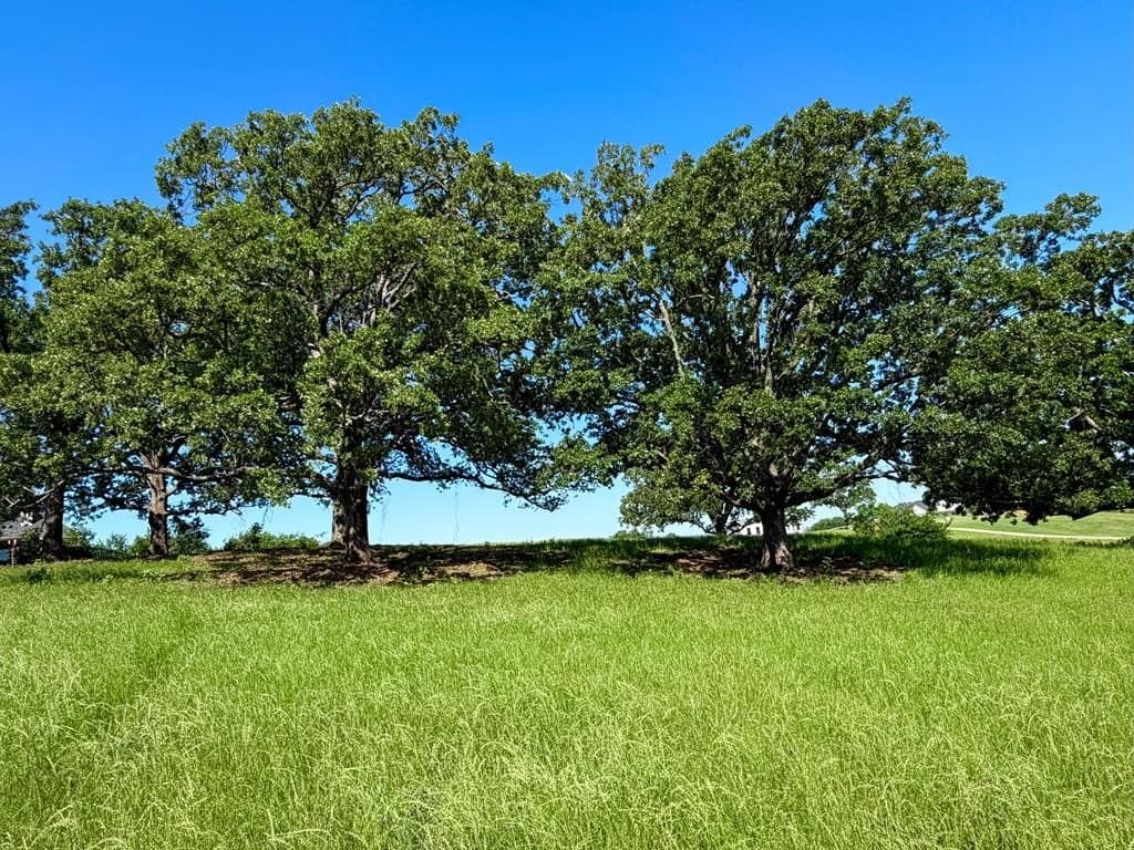 1 acres in Henderson County - photo 7