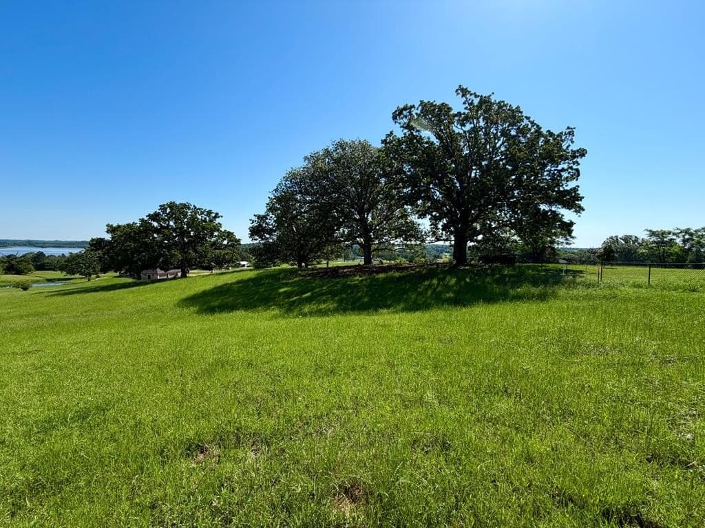 1 acres in Henderson County - photo 6