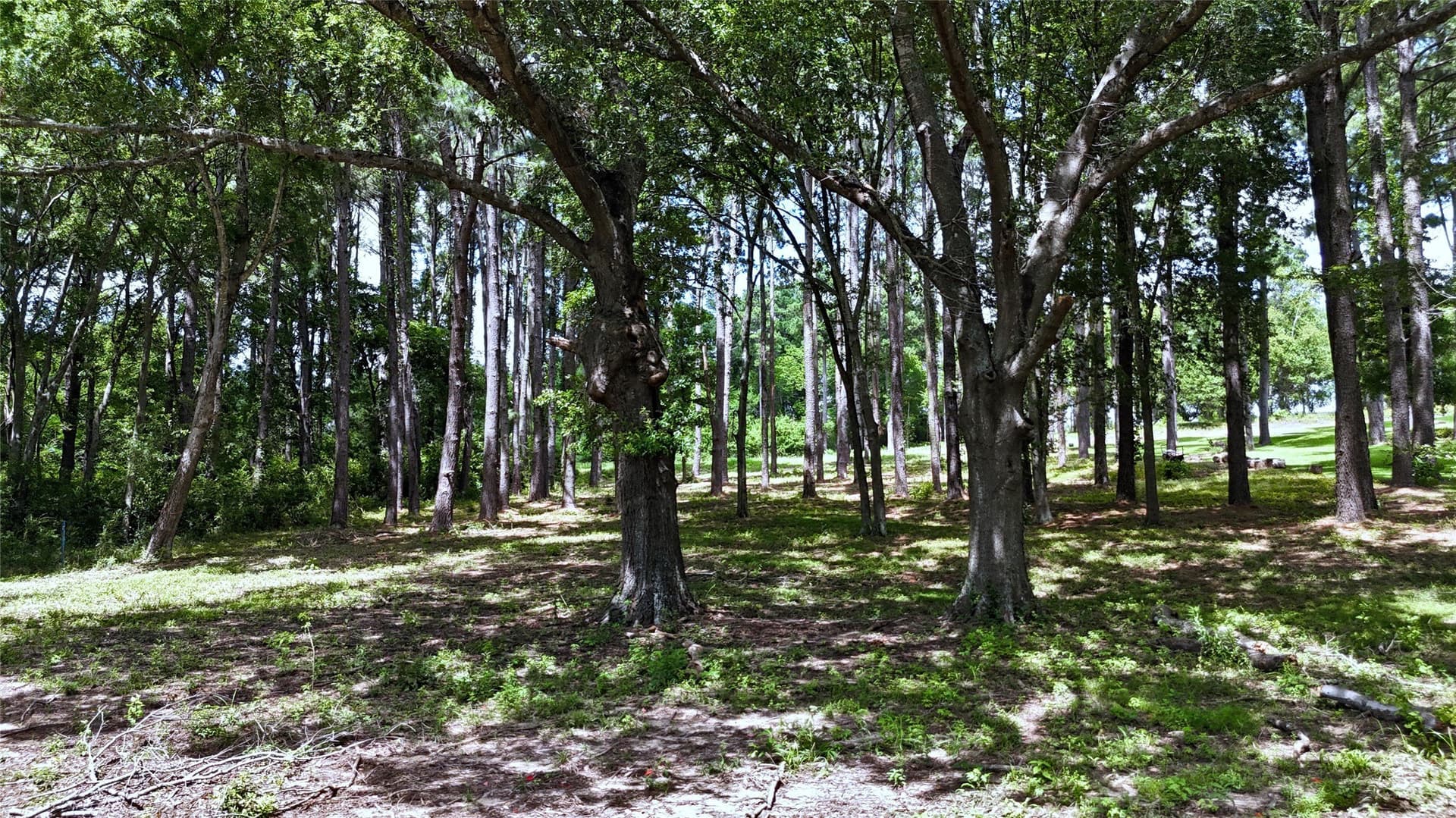 1.38 acres in Henderson County - photo 6