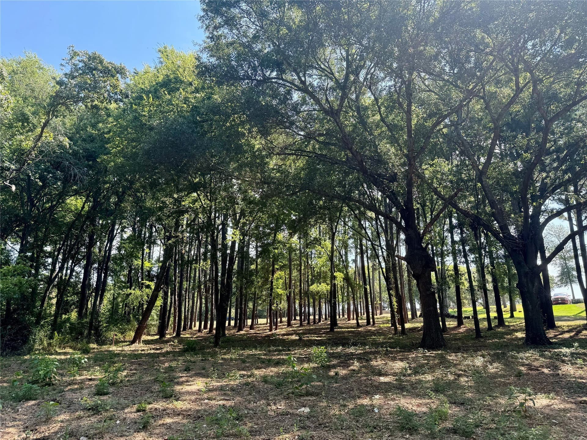 1.38 acres in Henderson County - photo 22