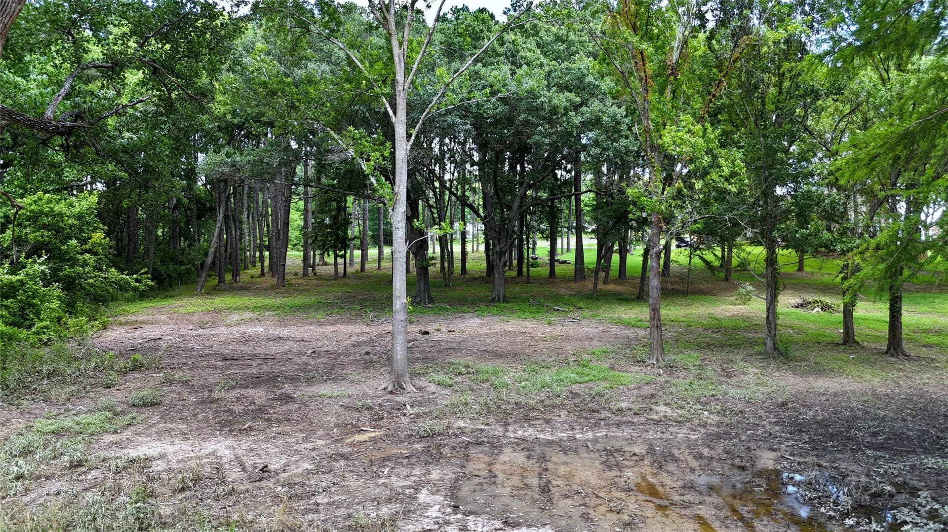1.38 acres in Henderson County - photo 7