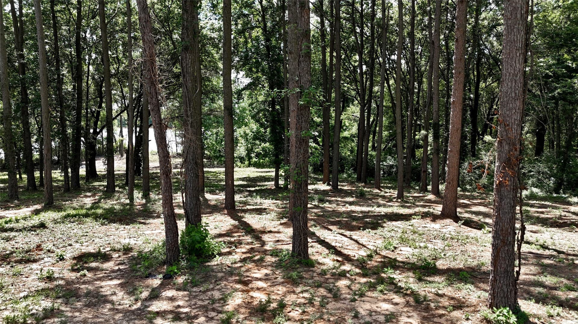 1.38 acres in Henderson County - photo 5