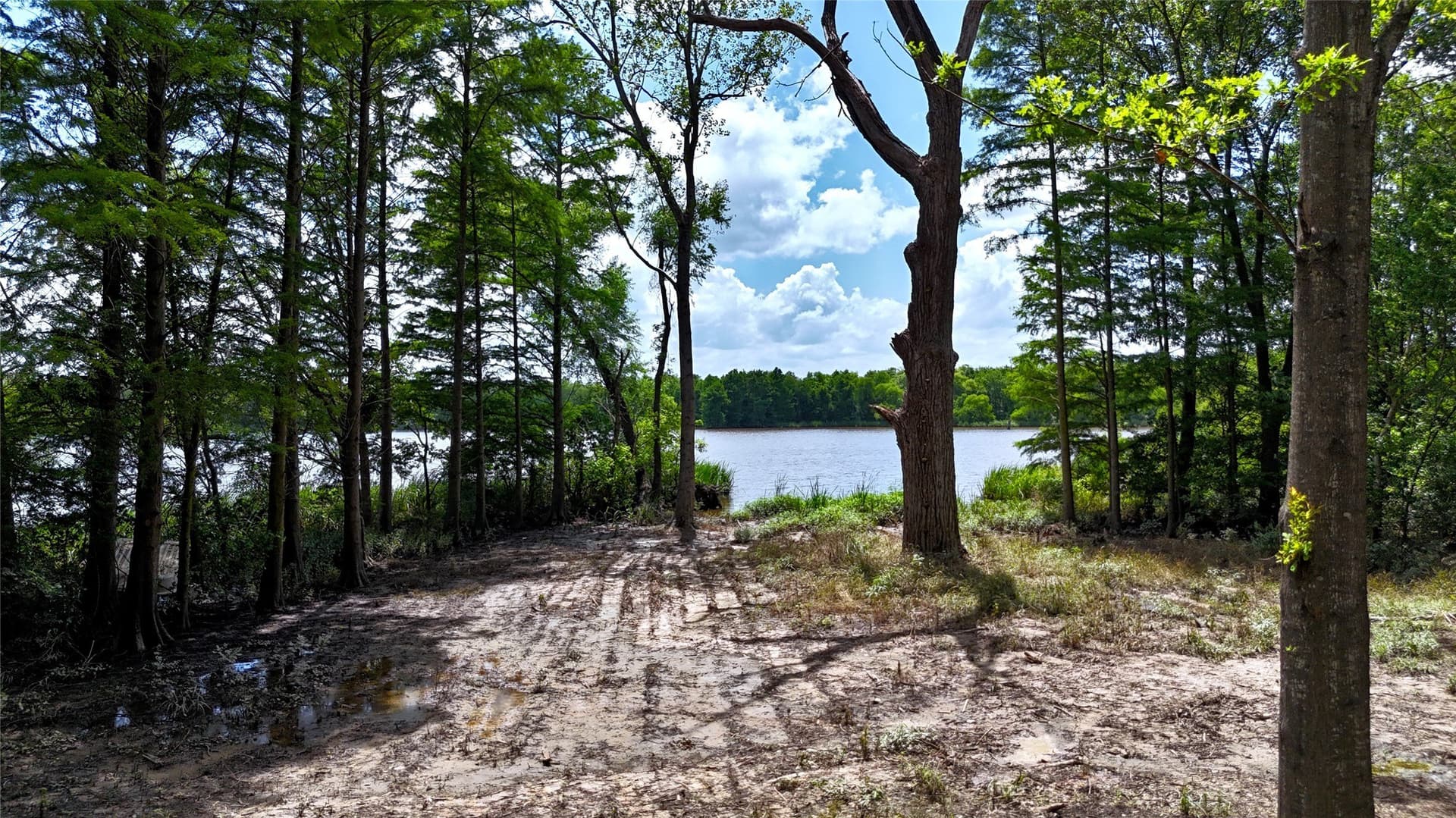 1.38 acres in Henderson County - photo 8