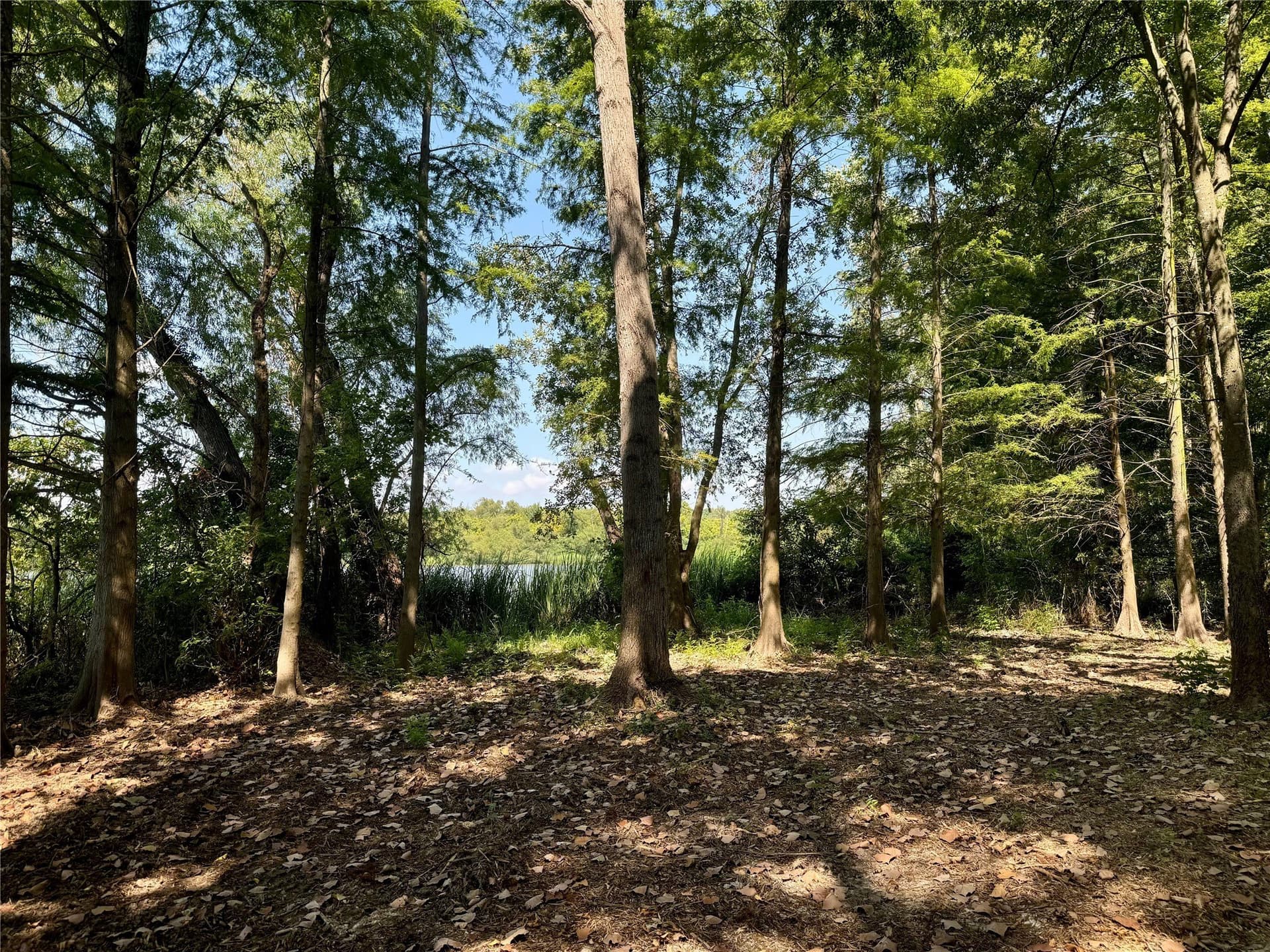1.38 acres in Henderson County - photo 24
