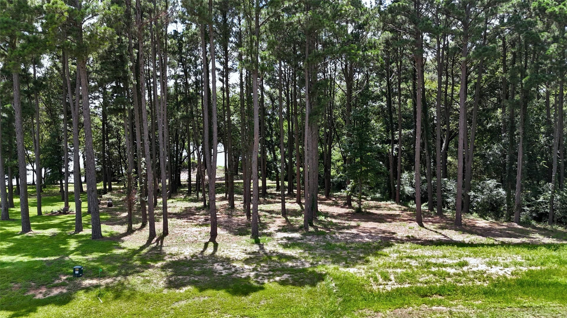 1.38 acres in Henderson County - photo 4