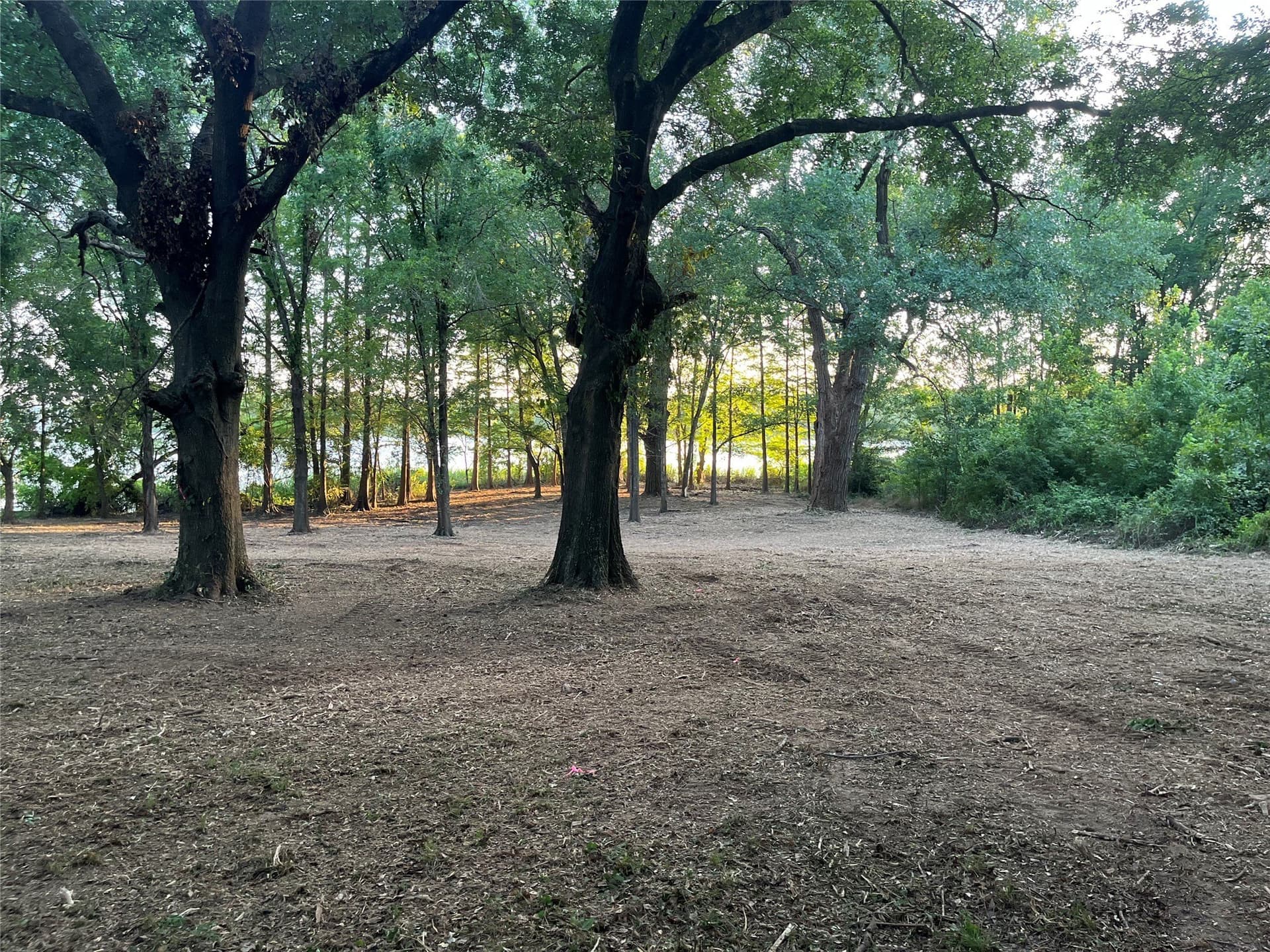 1.38 acres in Henderson County - photo 18