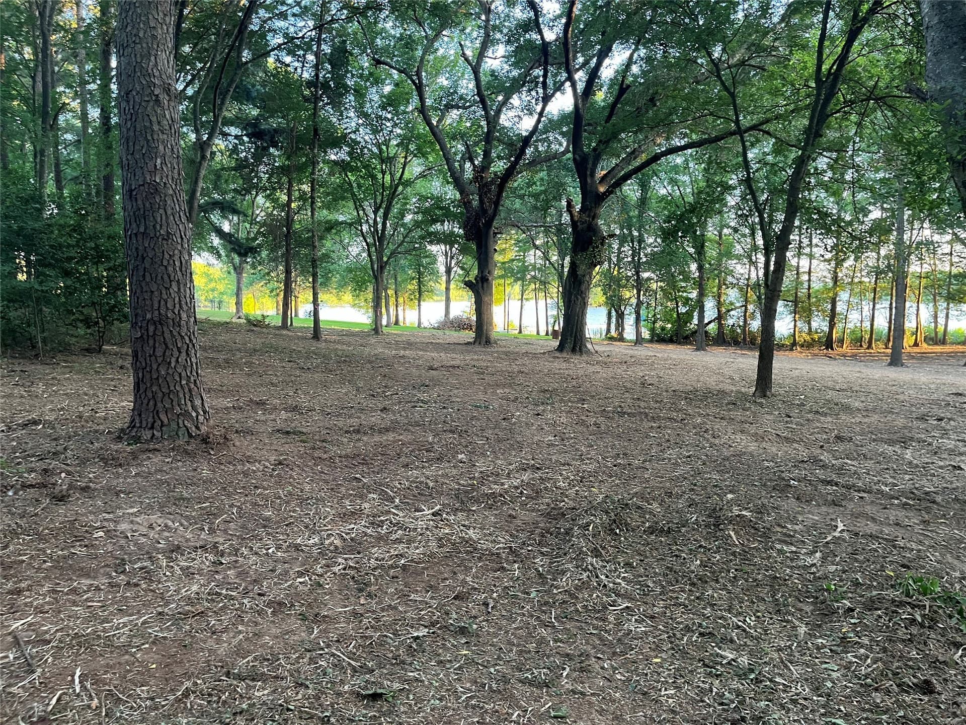 1.38 acres in Henderson County - photo 19