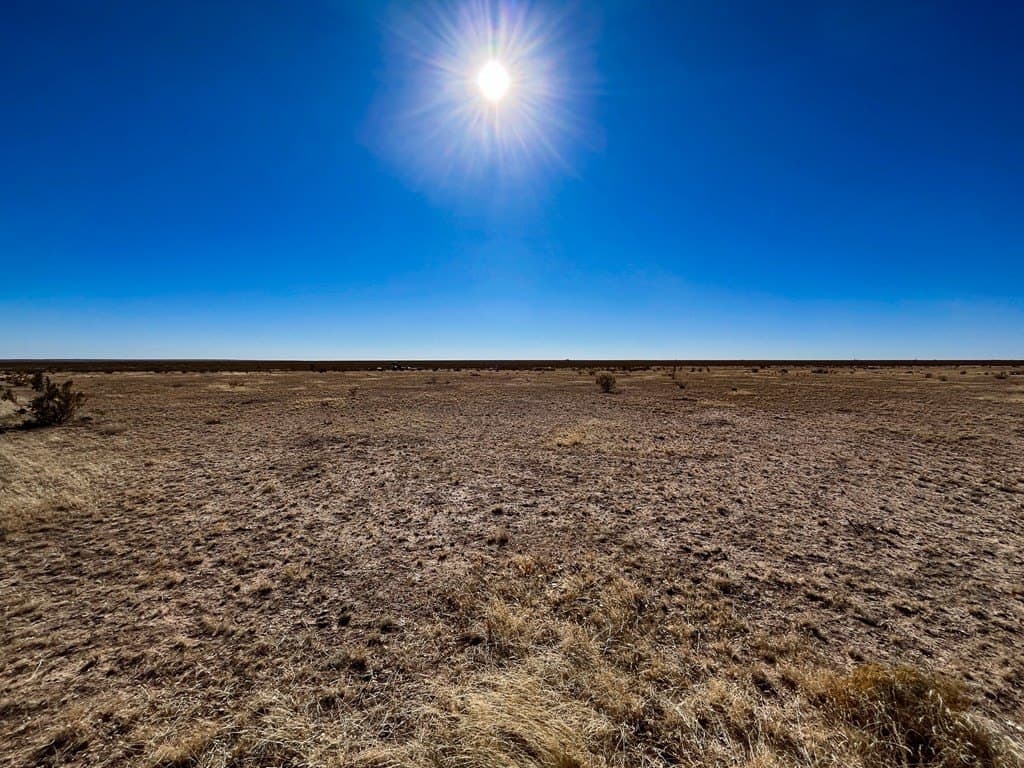 40 acres in Hudspeth County gallery image 3