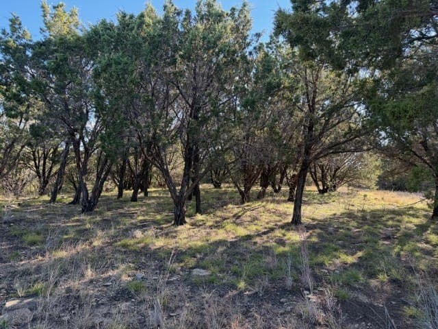 2.02 acres in Palo Pinto County - photo 4
