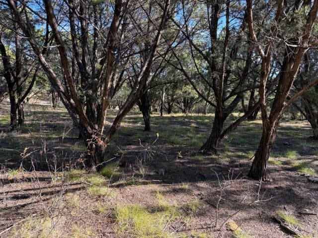 2.02 acres in Palo Pinto County - photo 3