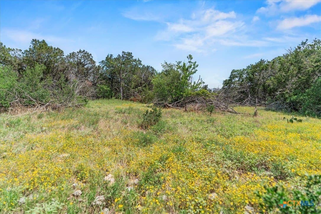5.07 acres in Hays County gallery image 4