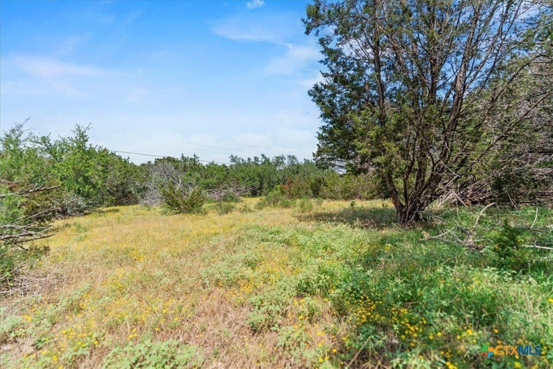 5.07 acres in Hays County featured view