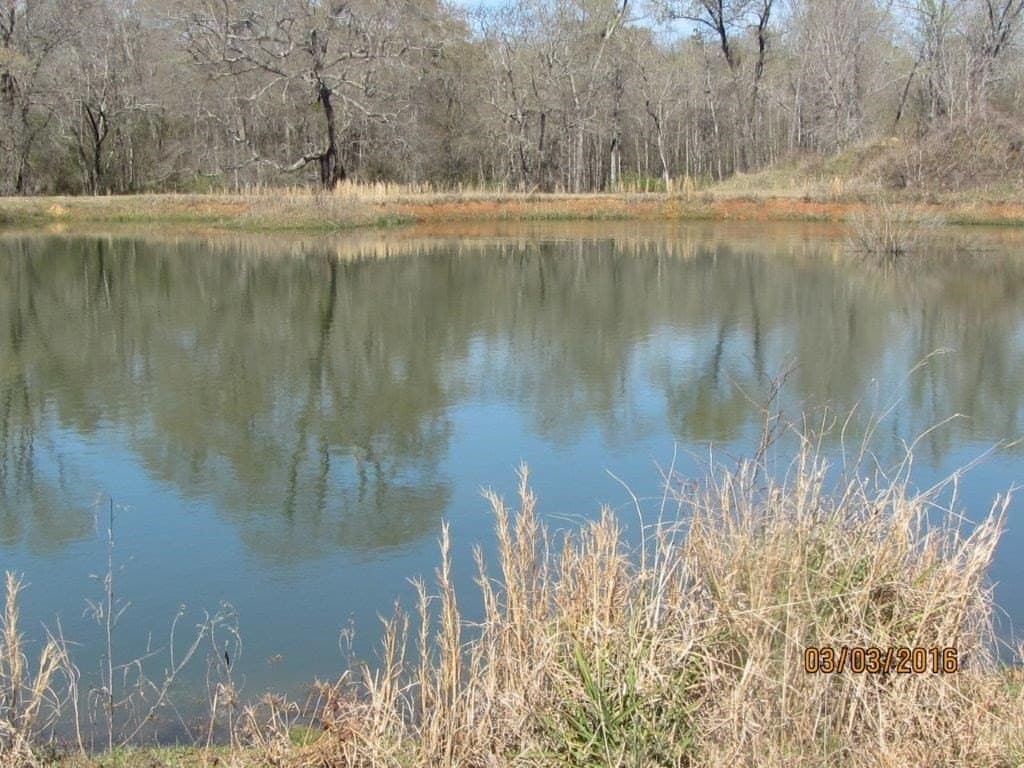106.38 acres in Texas County - photo 12