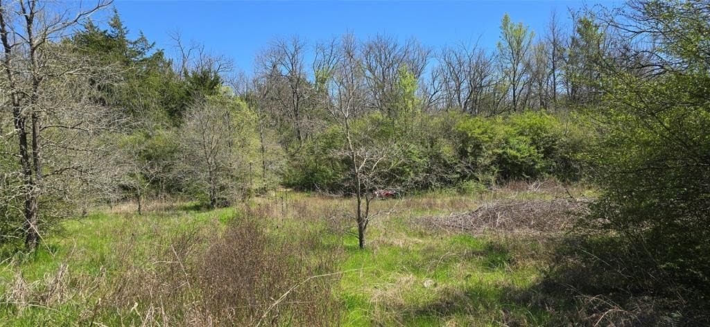 3 acres in Hunt County gallery image 3