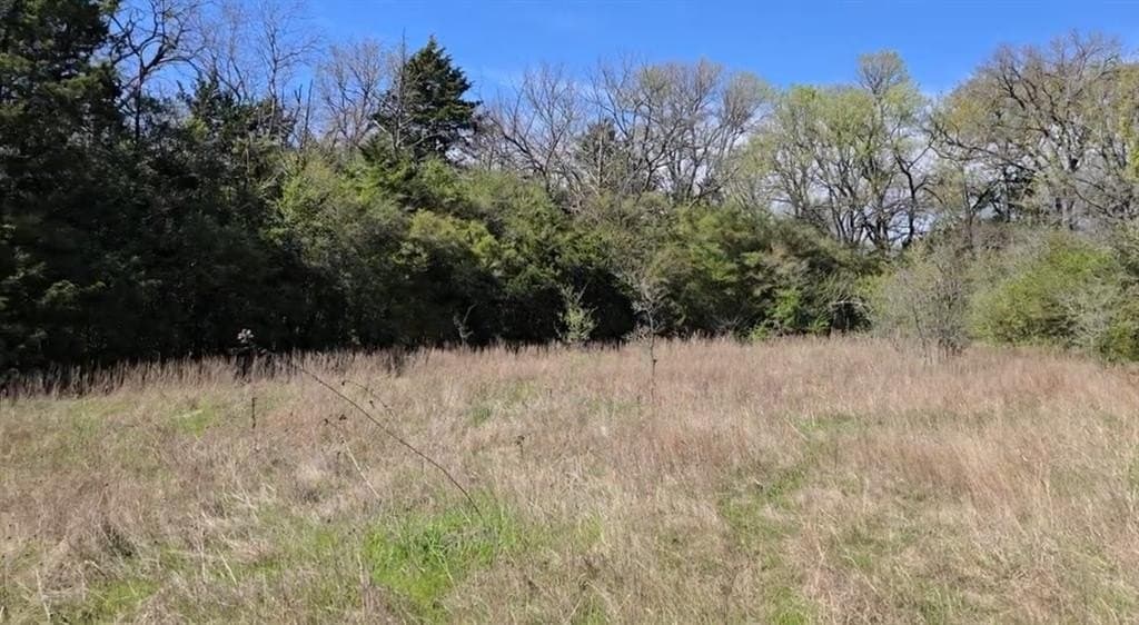 3 acres in Hunt County gallery image 4