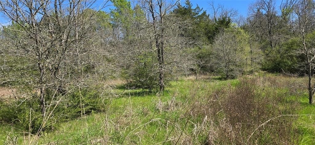 3 acres in Hunt County gallery image 2