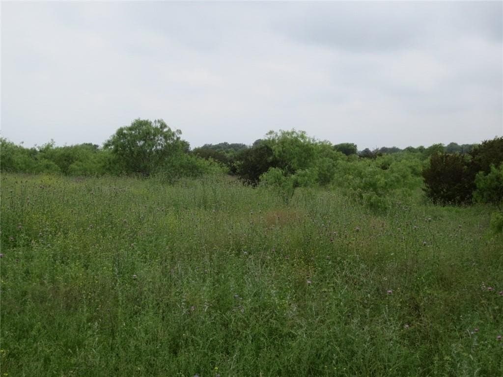 40.98 acres in McLennan County gallery image 2