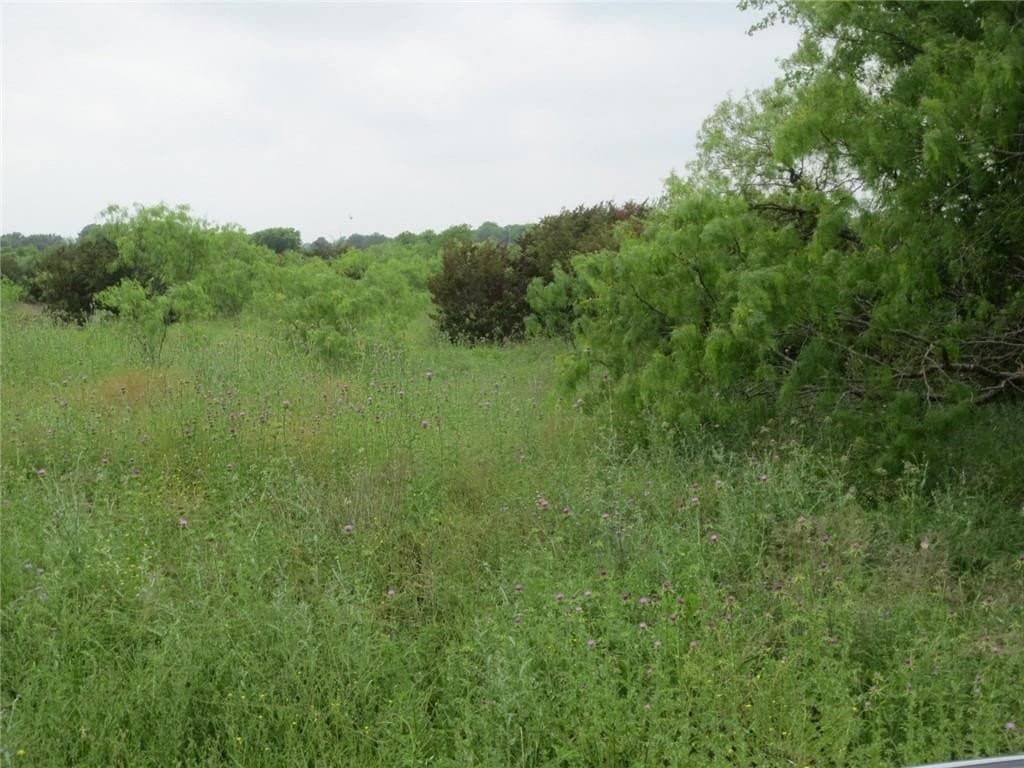 40.98 acres in McLennan County gallery image 3