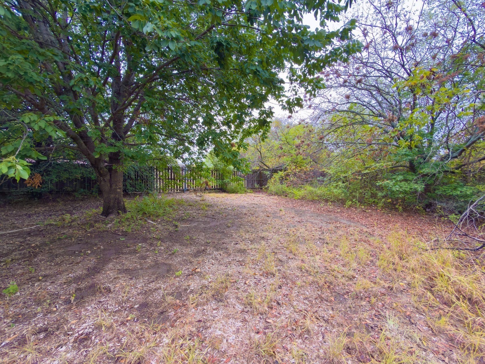 0.26 acres in Parker County - photo 4