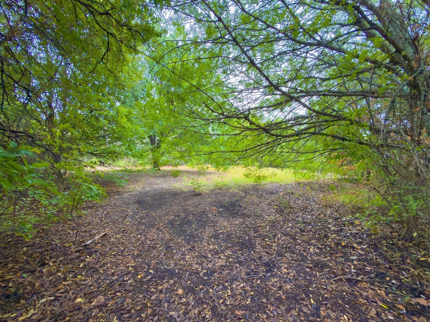 0.26 acres in Parker County - photo 3
