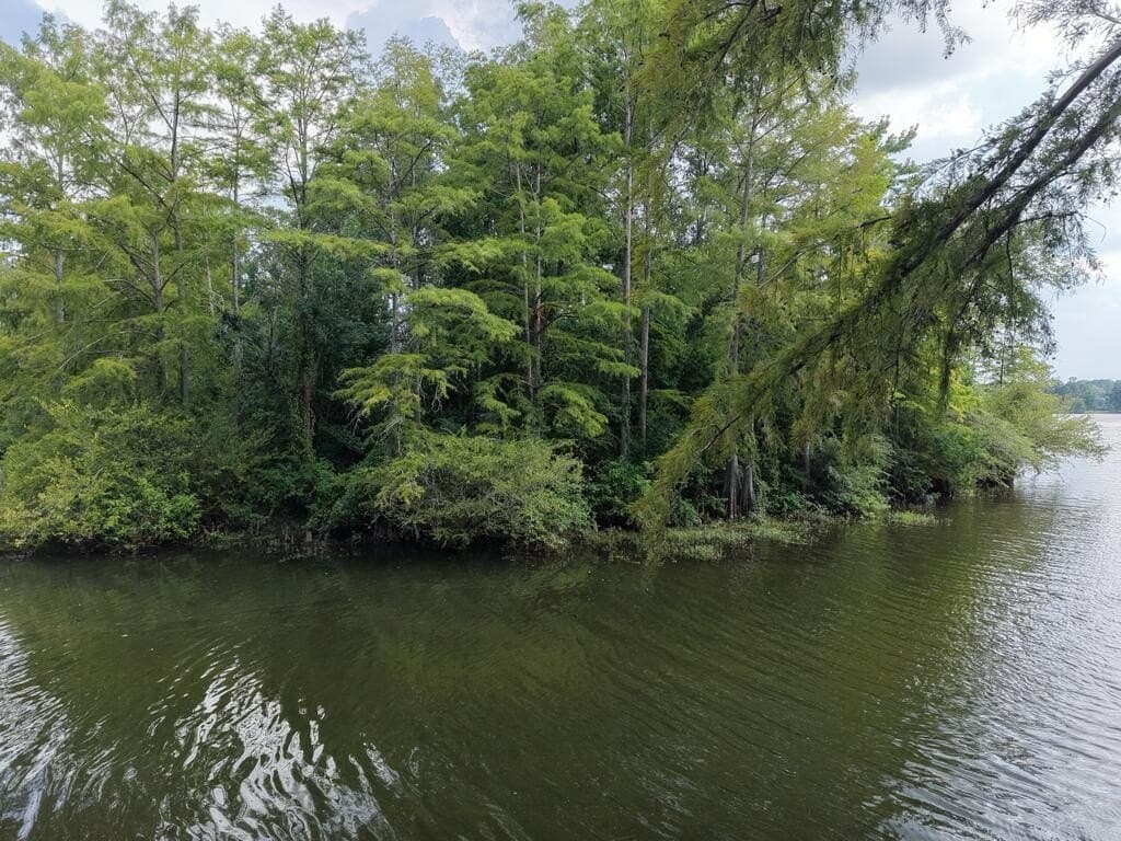 0.83 acres in Texas County - photo 14
