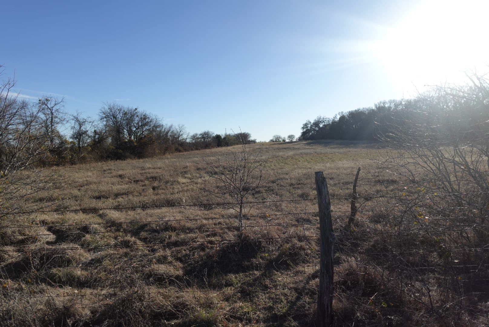 84 acres in Comanche County - photo 6