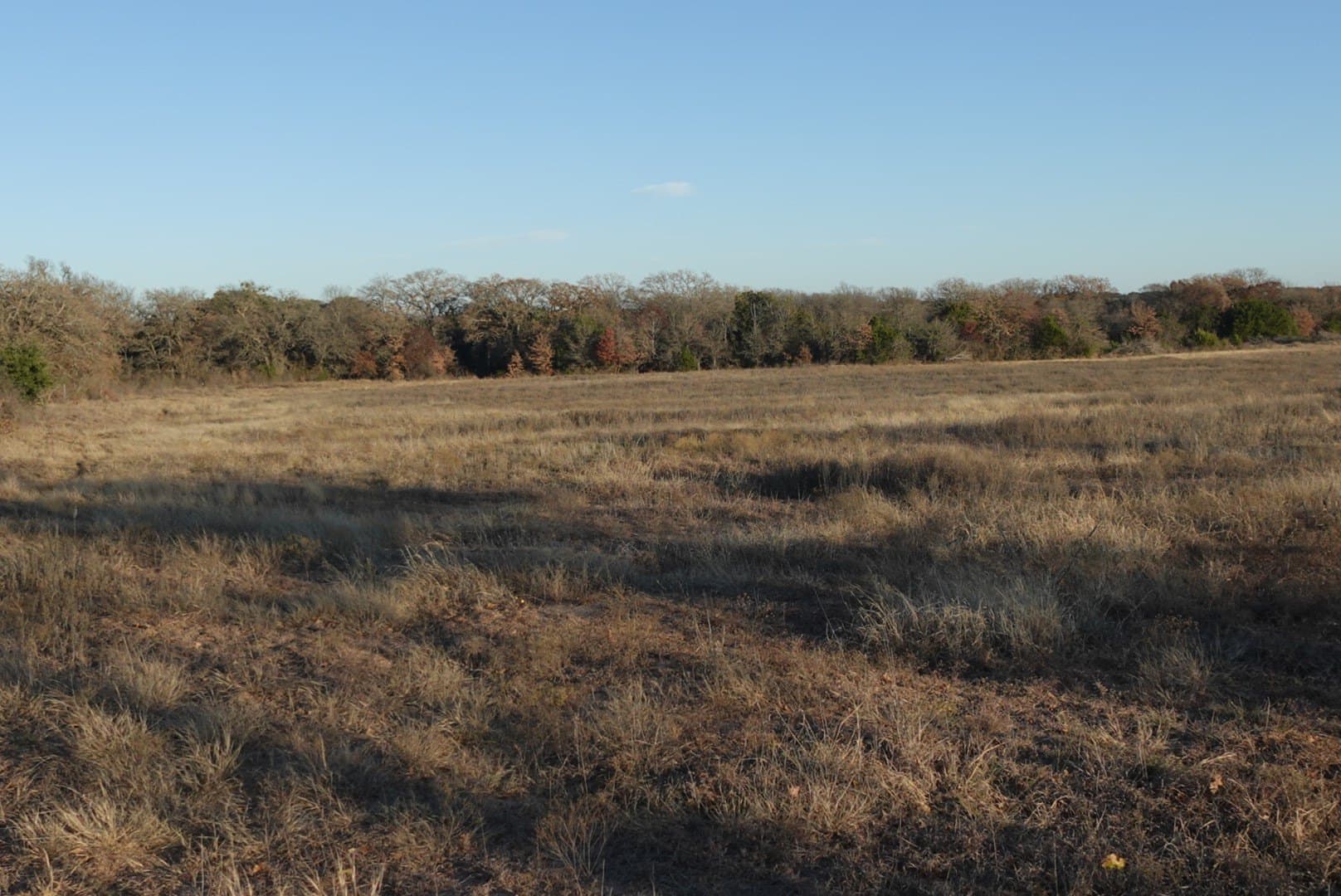 84 acres in Comanche County - photo 20